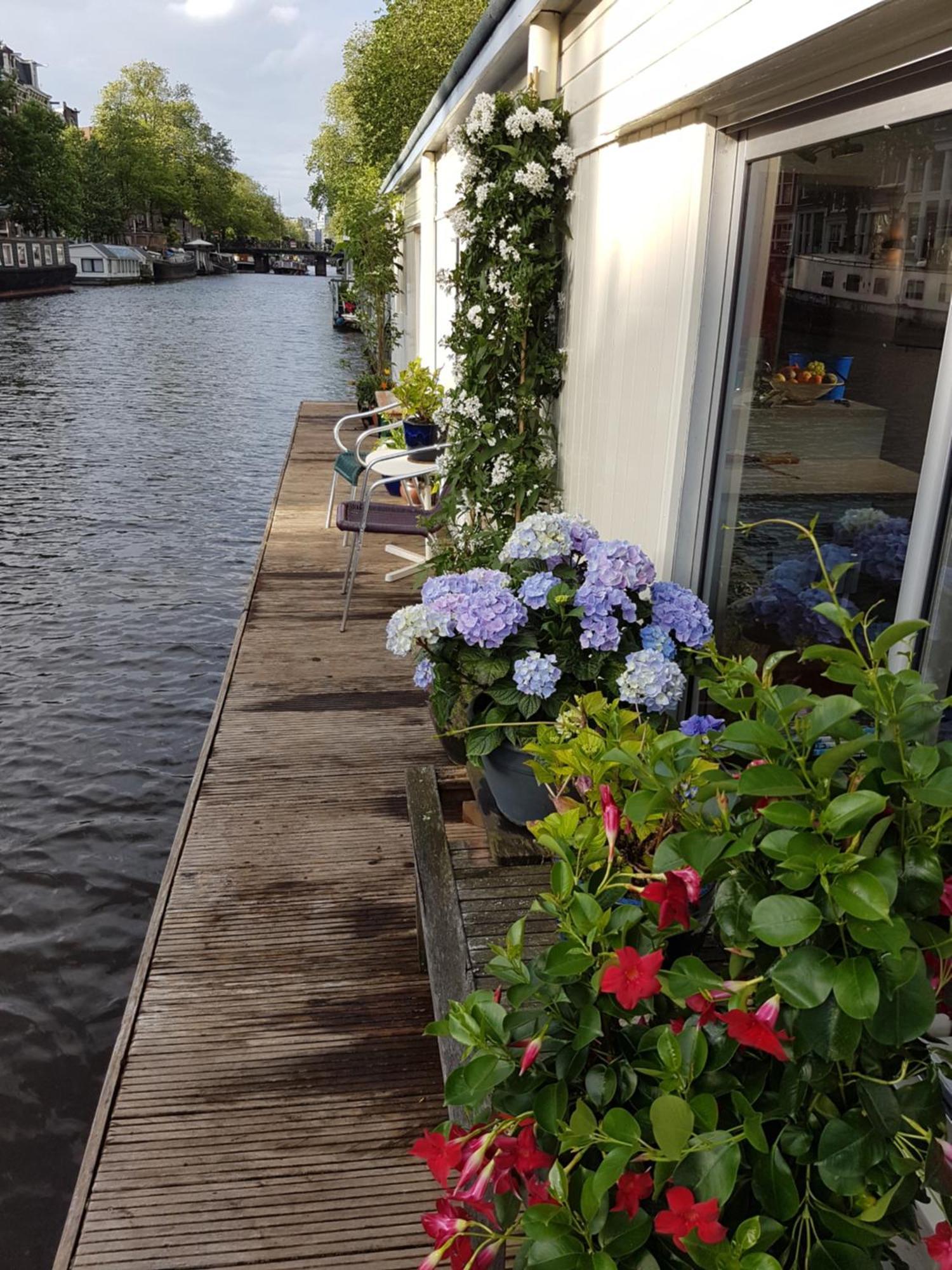 Pantheos Top Houseboat Amszterdam Kültér fotó